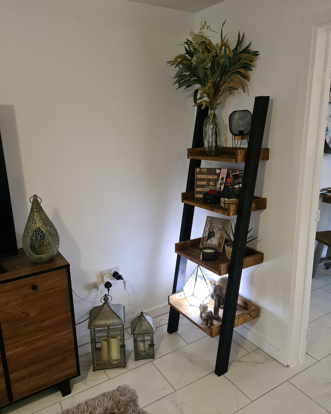Industrial ladder bookshelf | UK Made